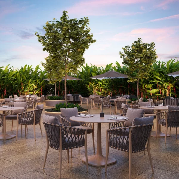 TERRACE-1